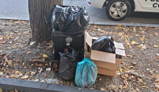 Amenzi usturătoare pentru cei care aruncă gunoiul unde nu trebuie - deseuri2-1632151359.jpg