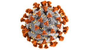 Coronavirus Constanța: Câte cadre didactice și câți elevi s-au infectat - corona-1642091245.jpg