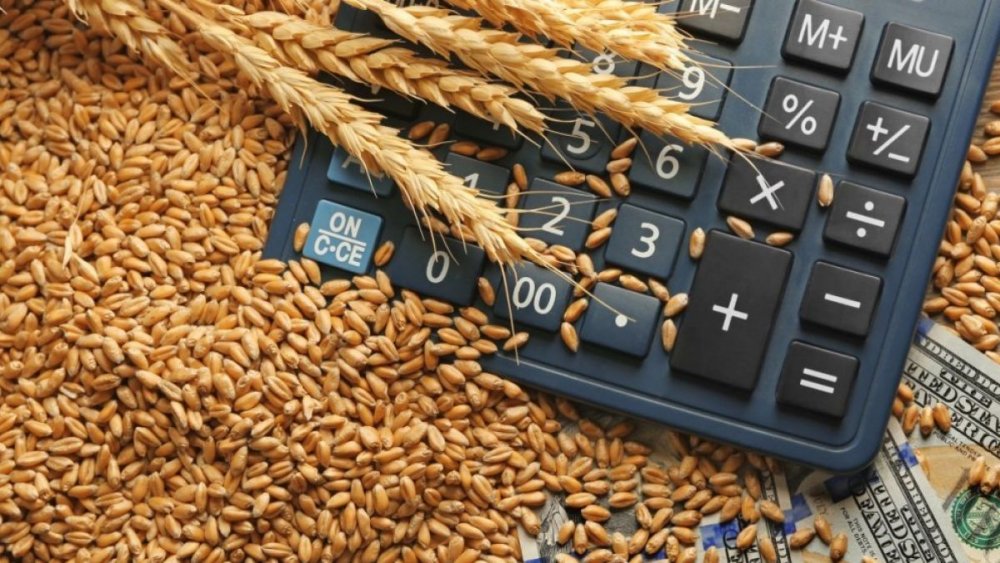 Preţul grâului ar putea creşte - pretulgraului-1611166736.jpg